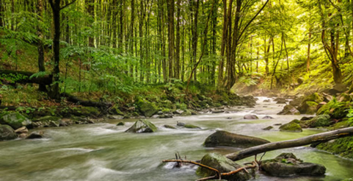 hompage-bilder-onlineshops-001