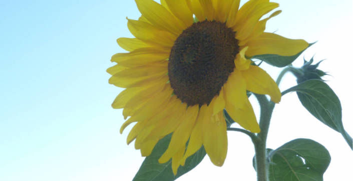 hompage-bilder-onlineshops-001