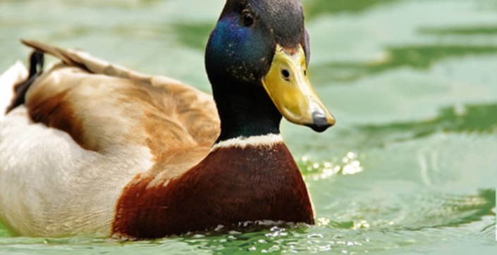 hompage-bilder-onlineshops-001